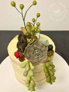 Bolo Buttercream com Suculentas