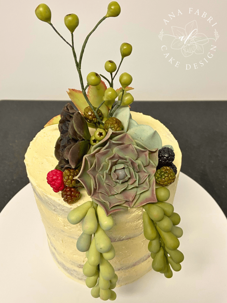 Bolo Buttercream com Suculentas