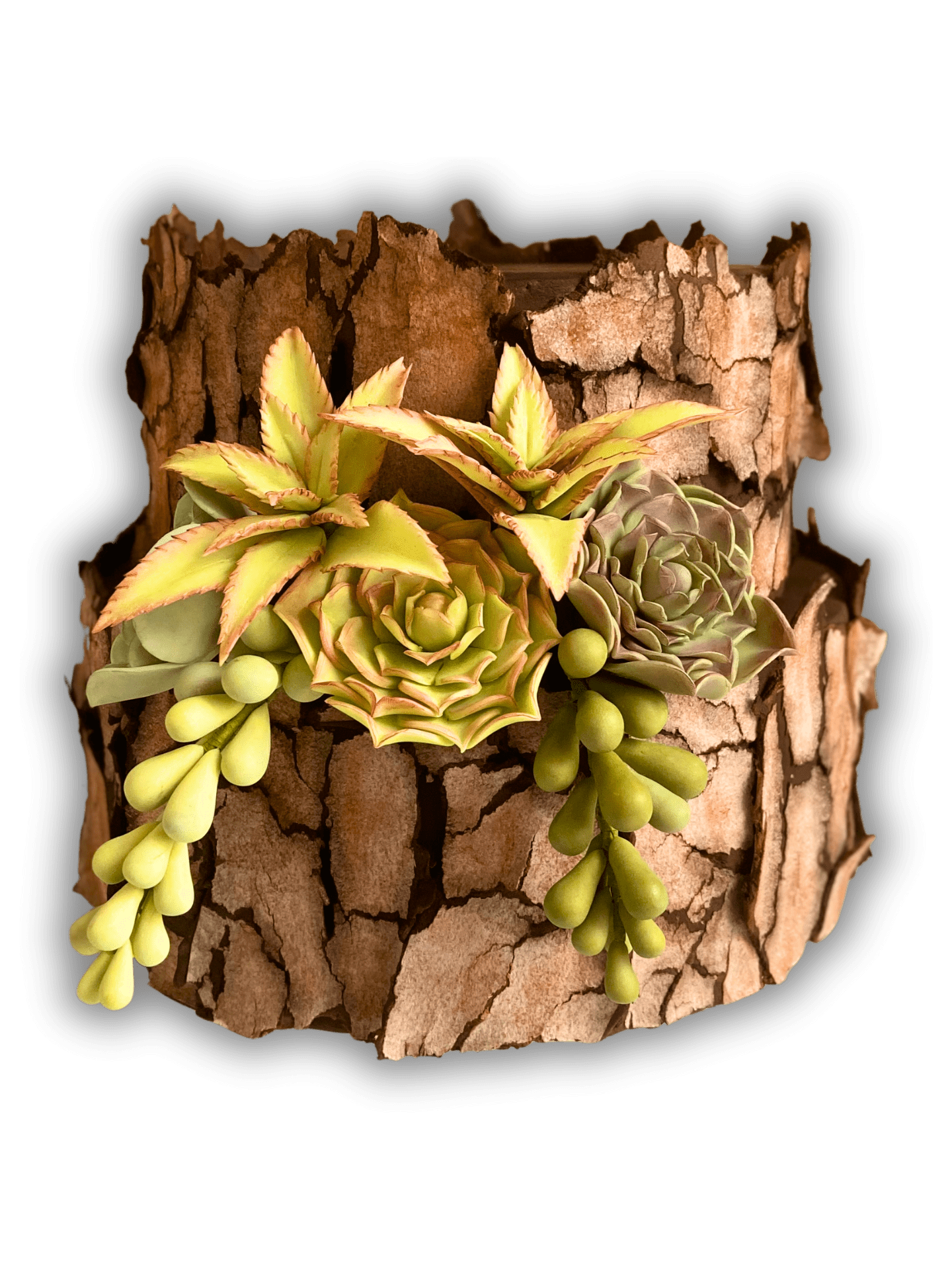 Bolo Destaque 2 - Home - AFCD